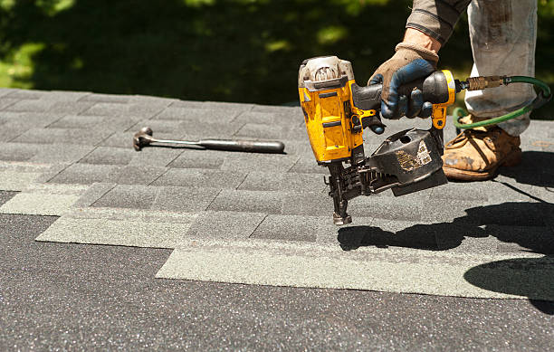 Best Roof Gutter Cleaning  in Belle Glade, FL